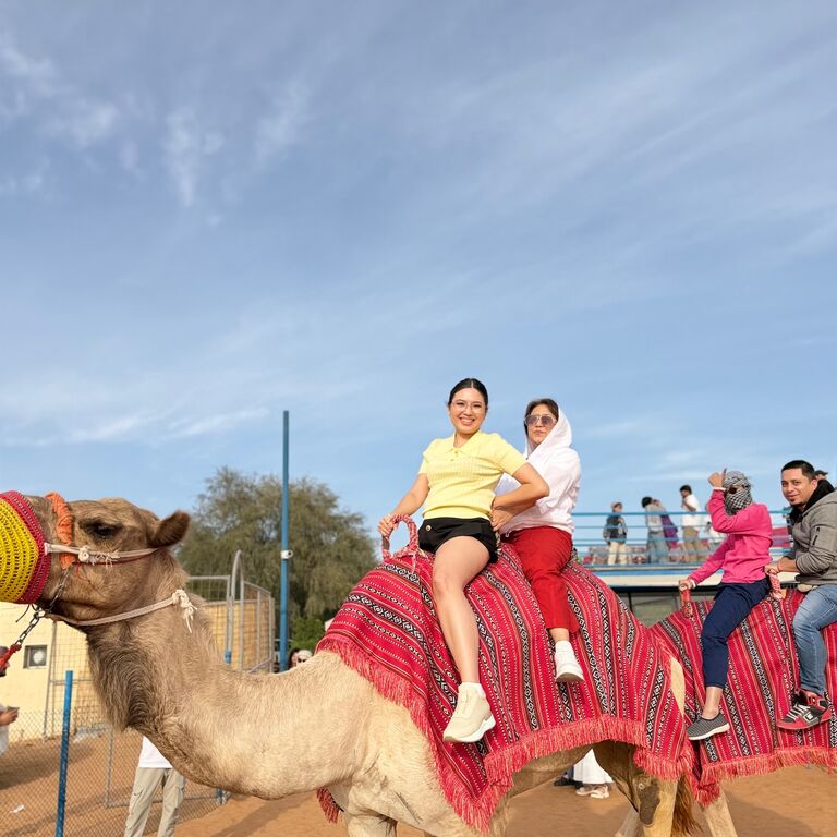 Desert travel vibe tourism LLC