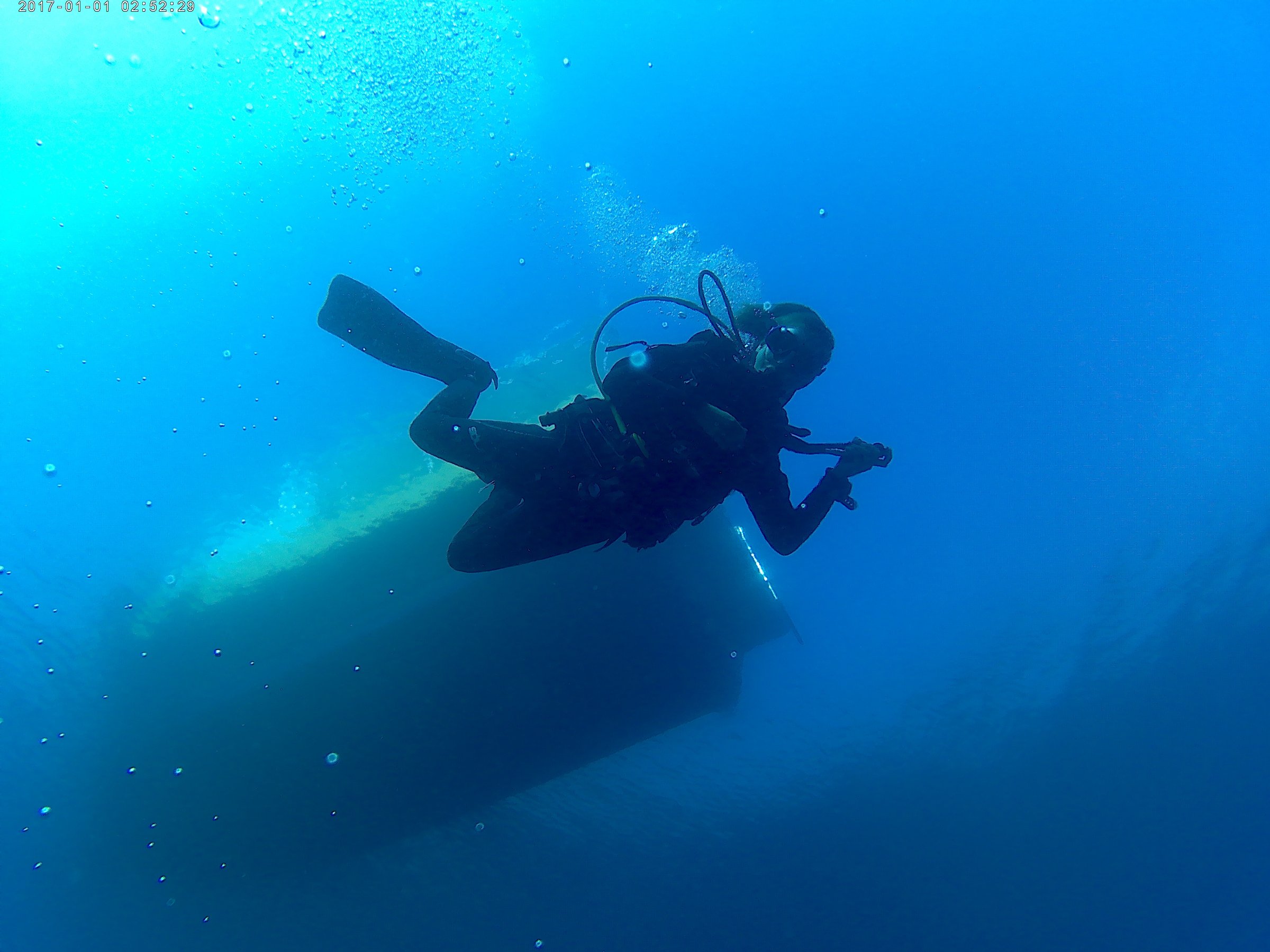 Butterfly Diving
