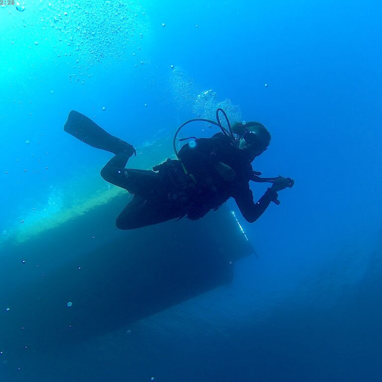 Butterfly Diving
