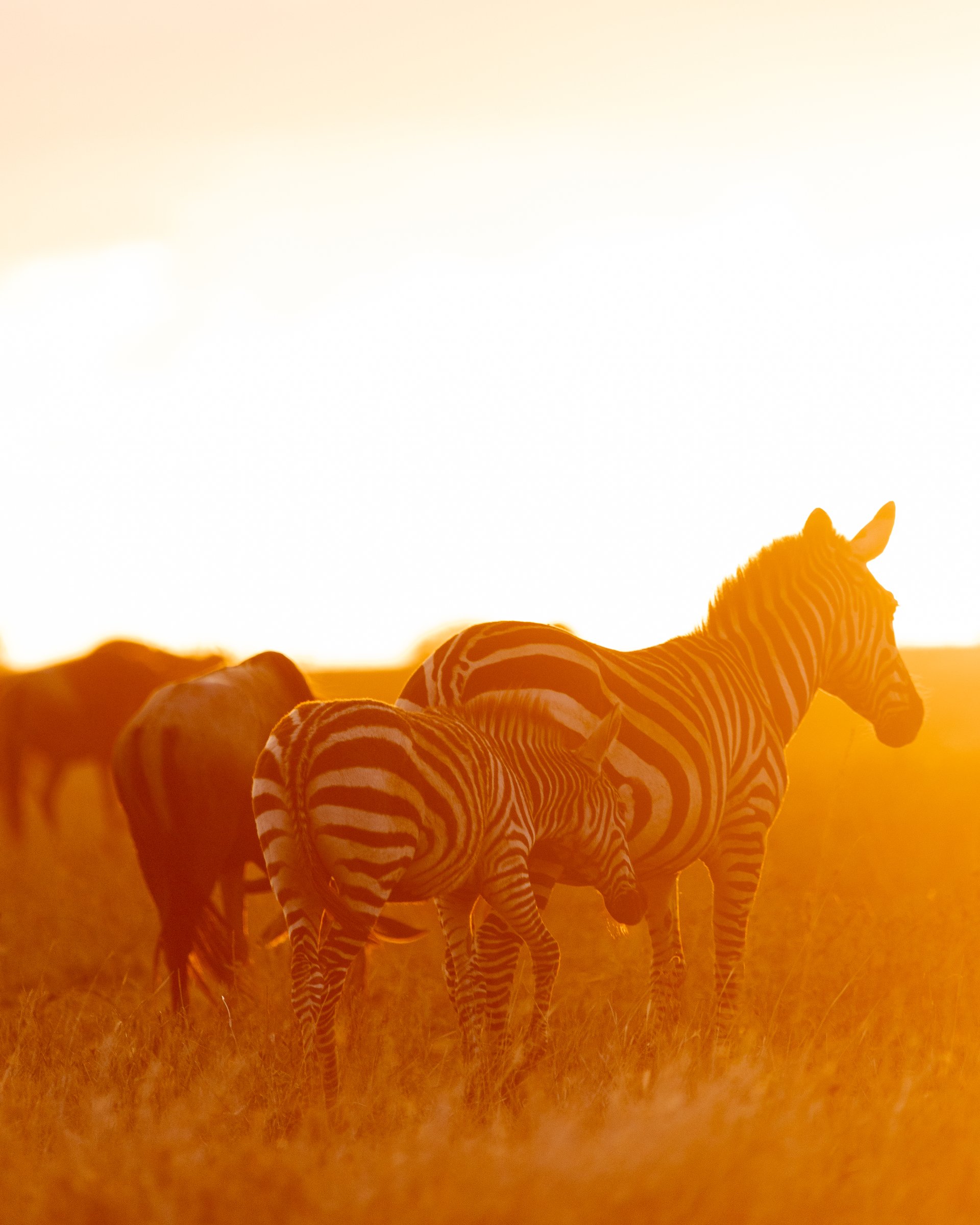 Inspirations Africa