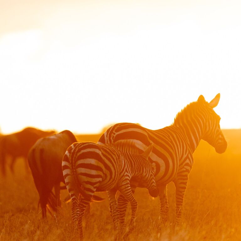 Inspirations Africa