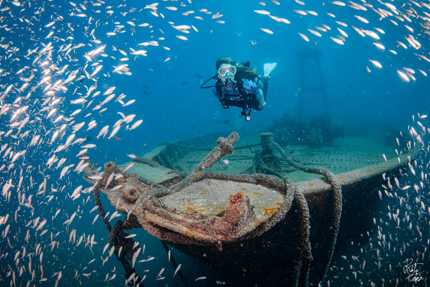 BUCEO CAREY