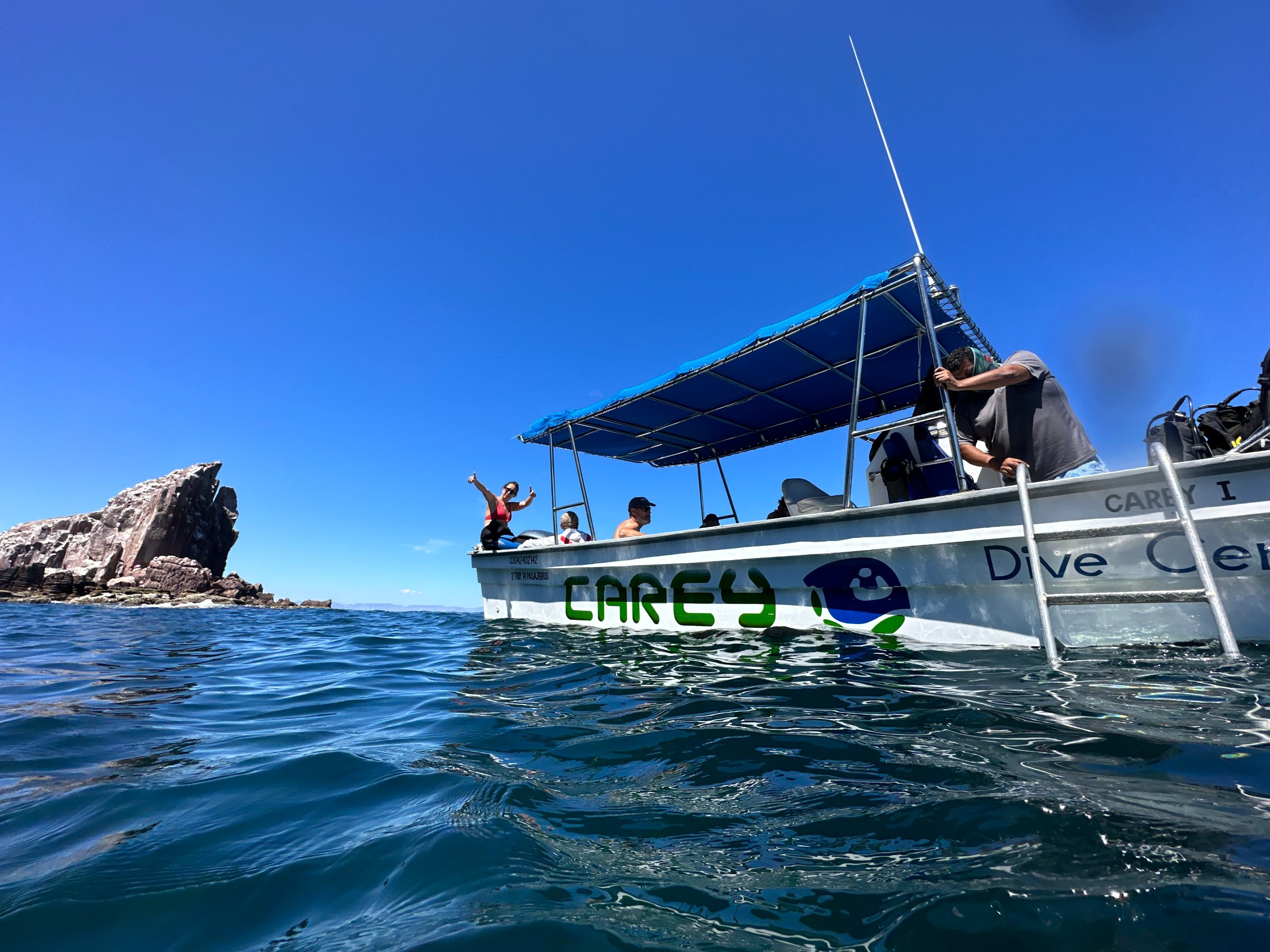 BUCEO CAREY