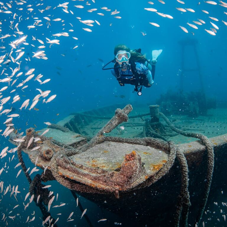 BUCEO CAREY