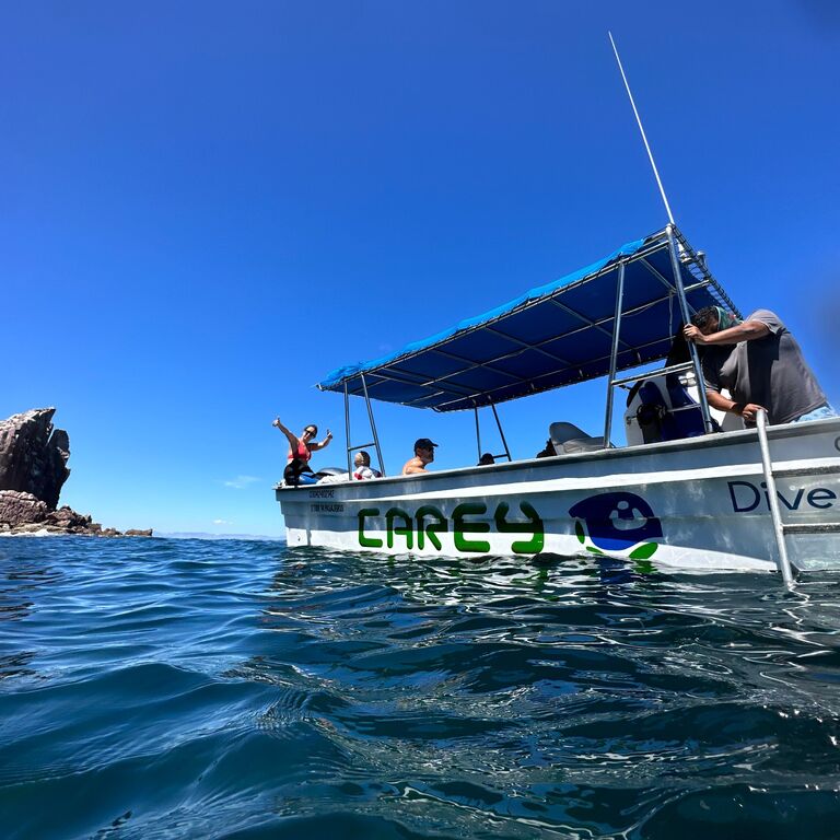 BUCEO CAREY