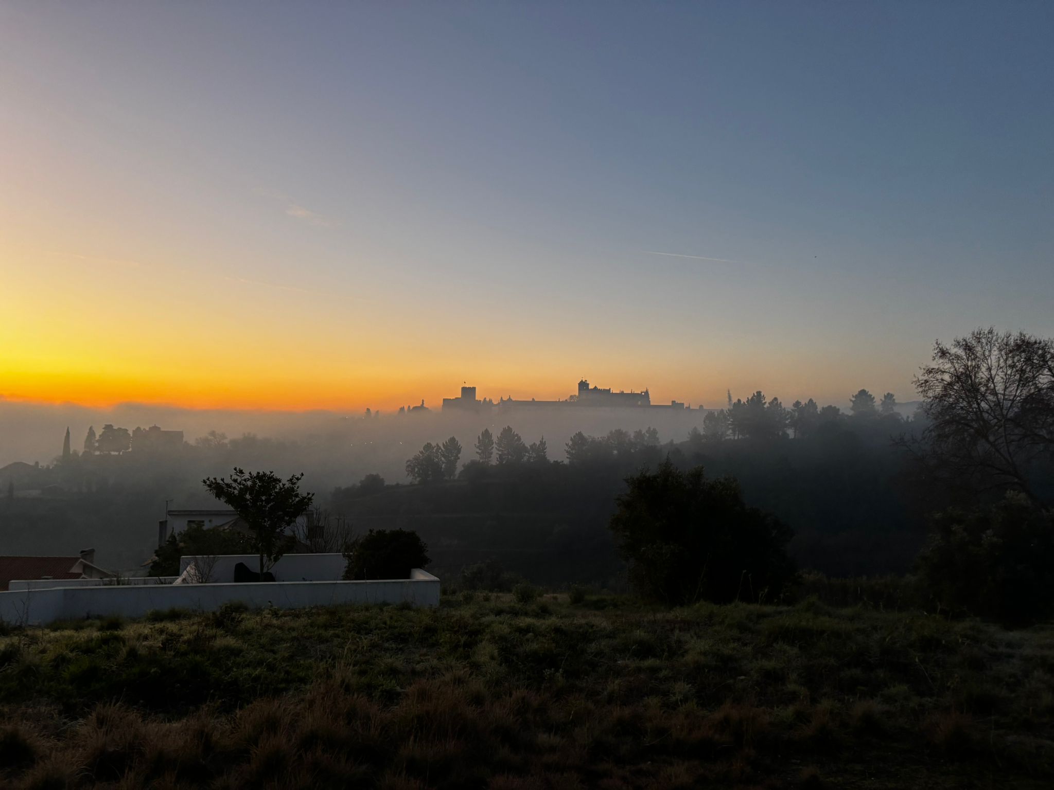 Templar Knights Tours