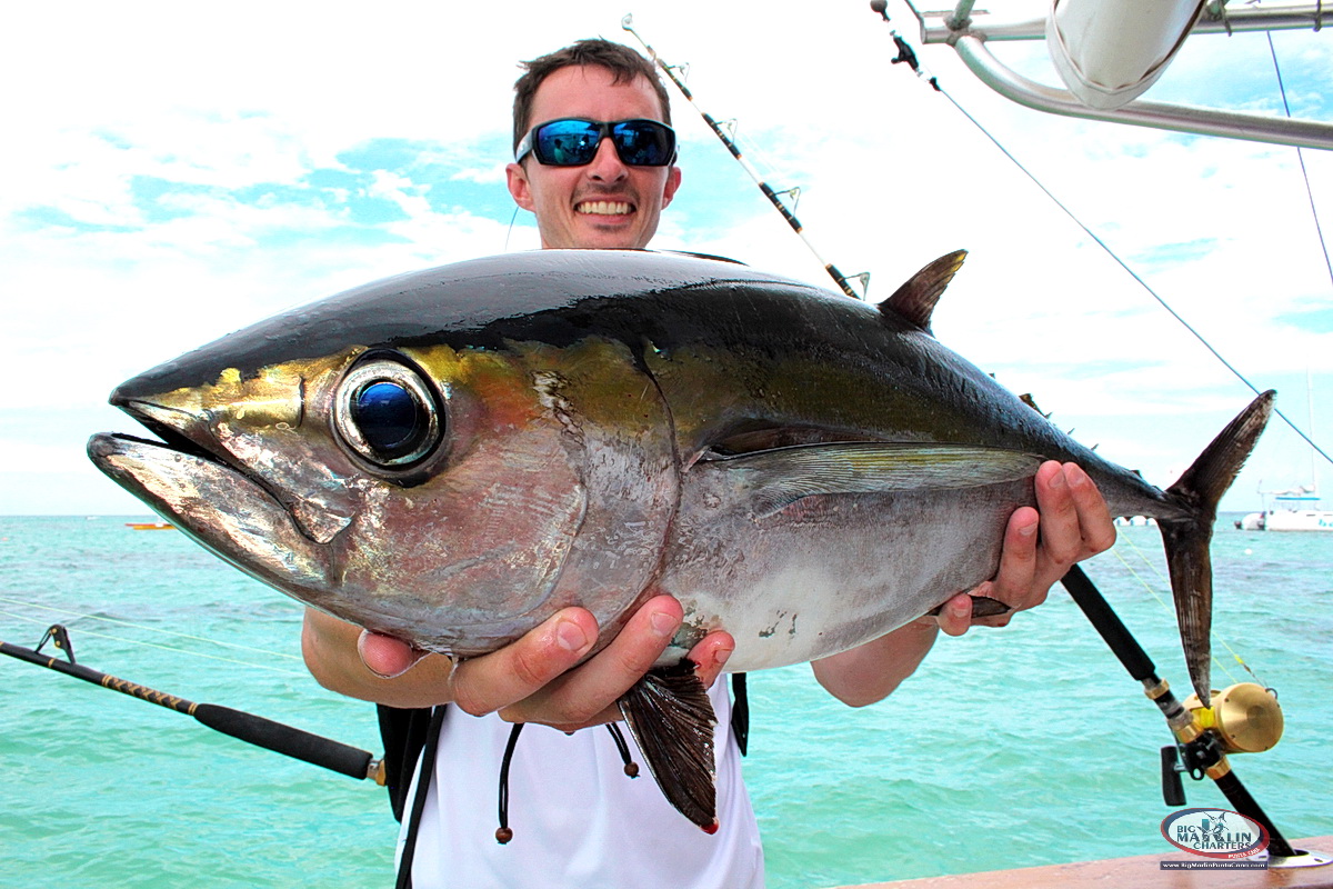 Big Marlin Charters Punta Cana