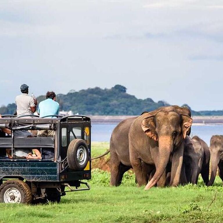 Trincomalee City Tour - Tuktuk
