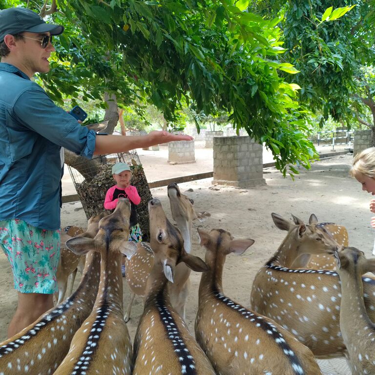 Trincomalee City Tour - Tuktuk