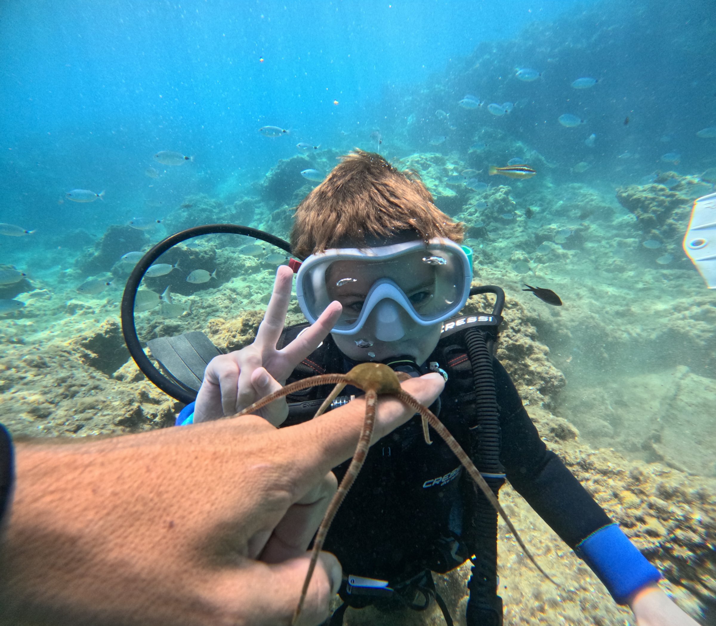 Discovery Diving Ceter