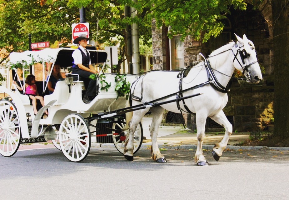CARRIAGE RIDE IN CENTRAL PARK