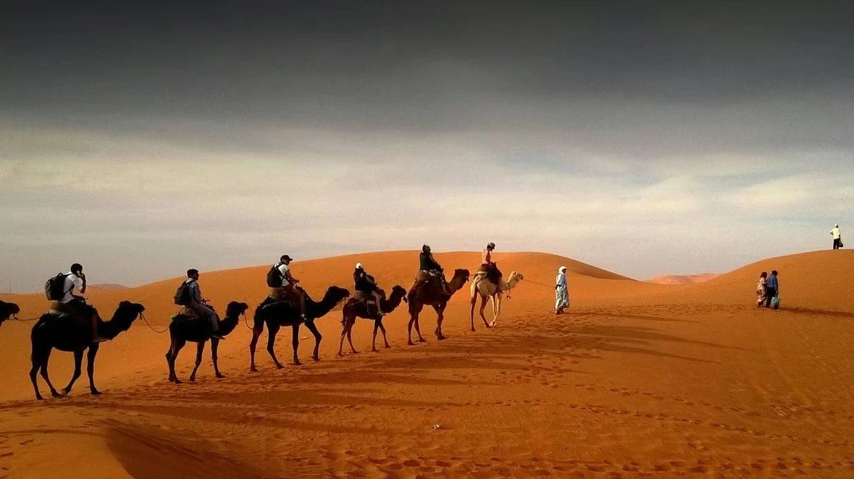 Dubai Desert Safari Tour