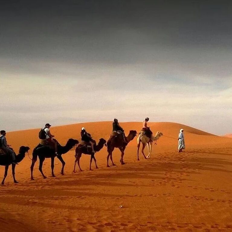 Dubai Desert Safari Tour