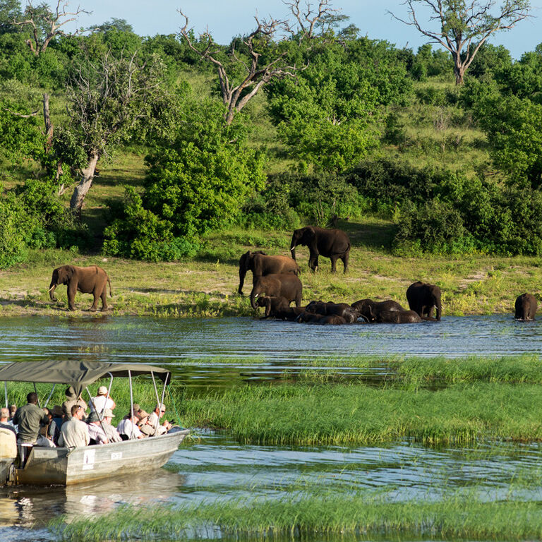 Travel Abroad - Botswana
