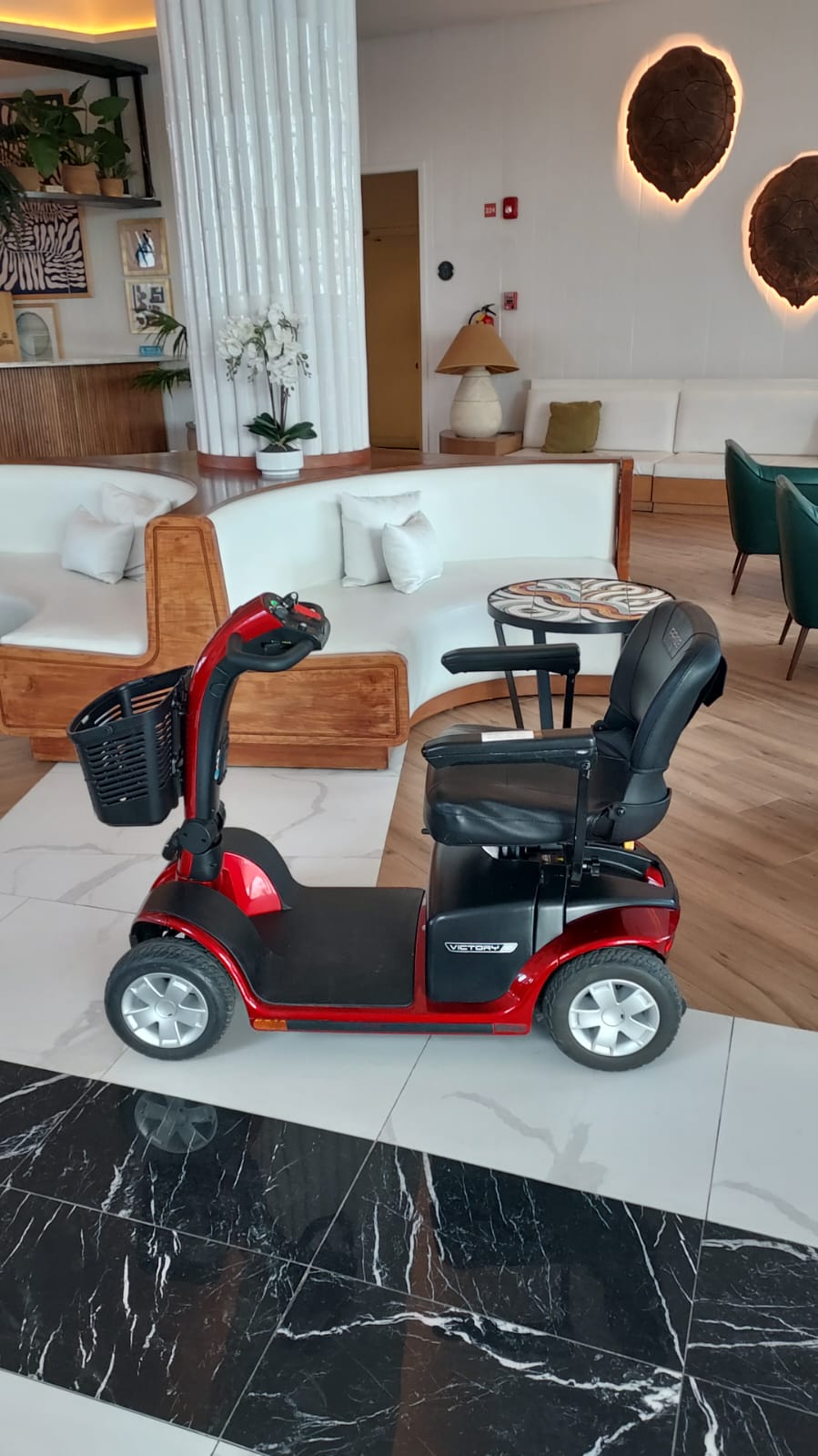 EasyGo Mobility JA