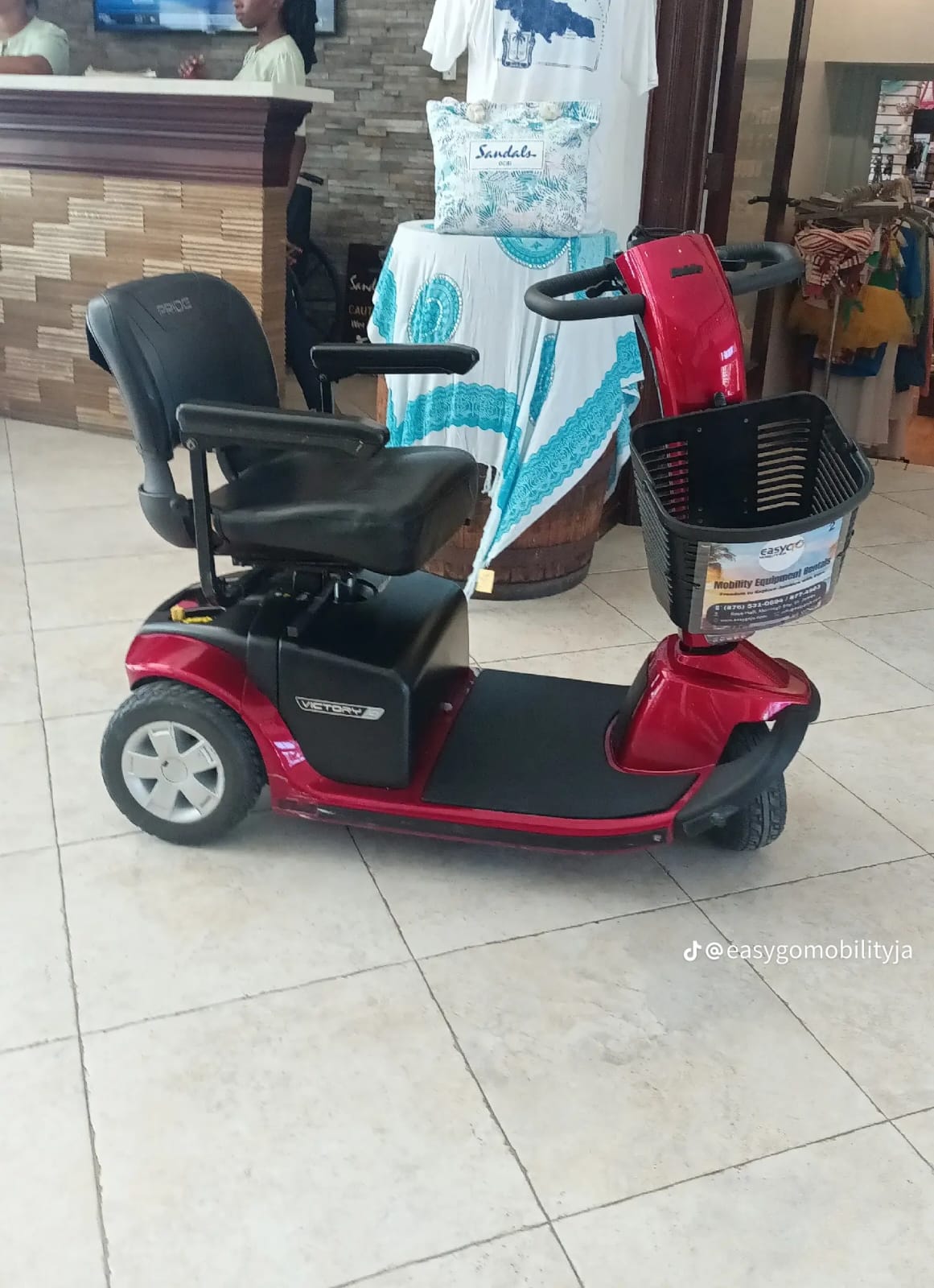 EasyGo Mobility JA