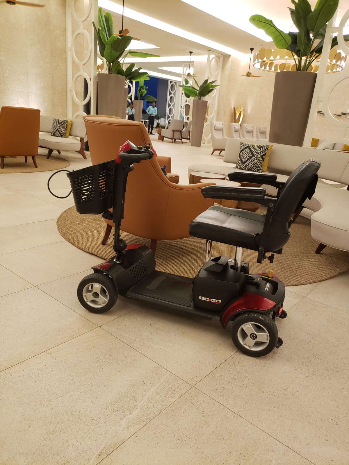 EasyGo Mobility JA