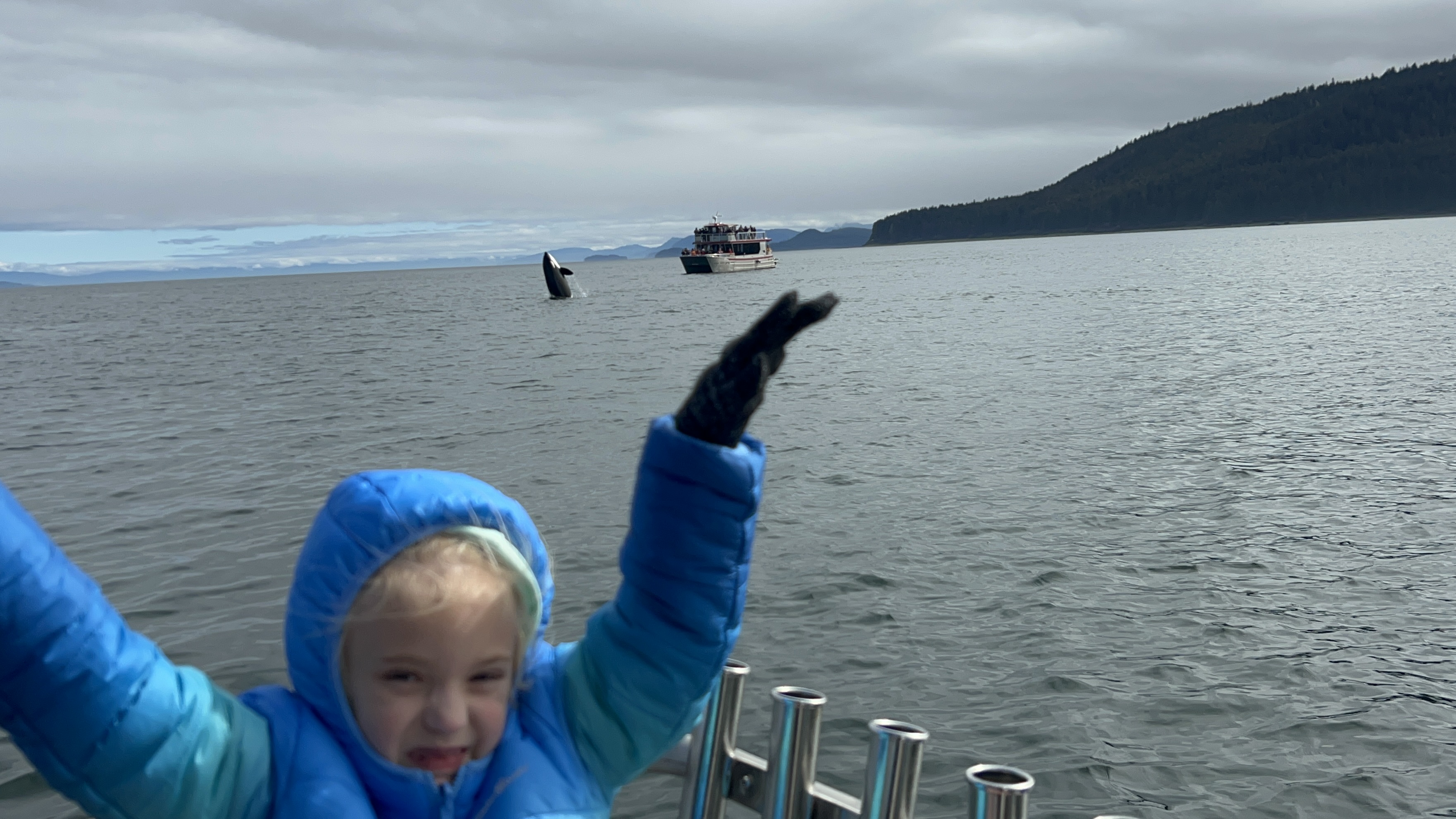 Catch of the day LLC