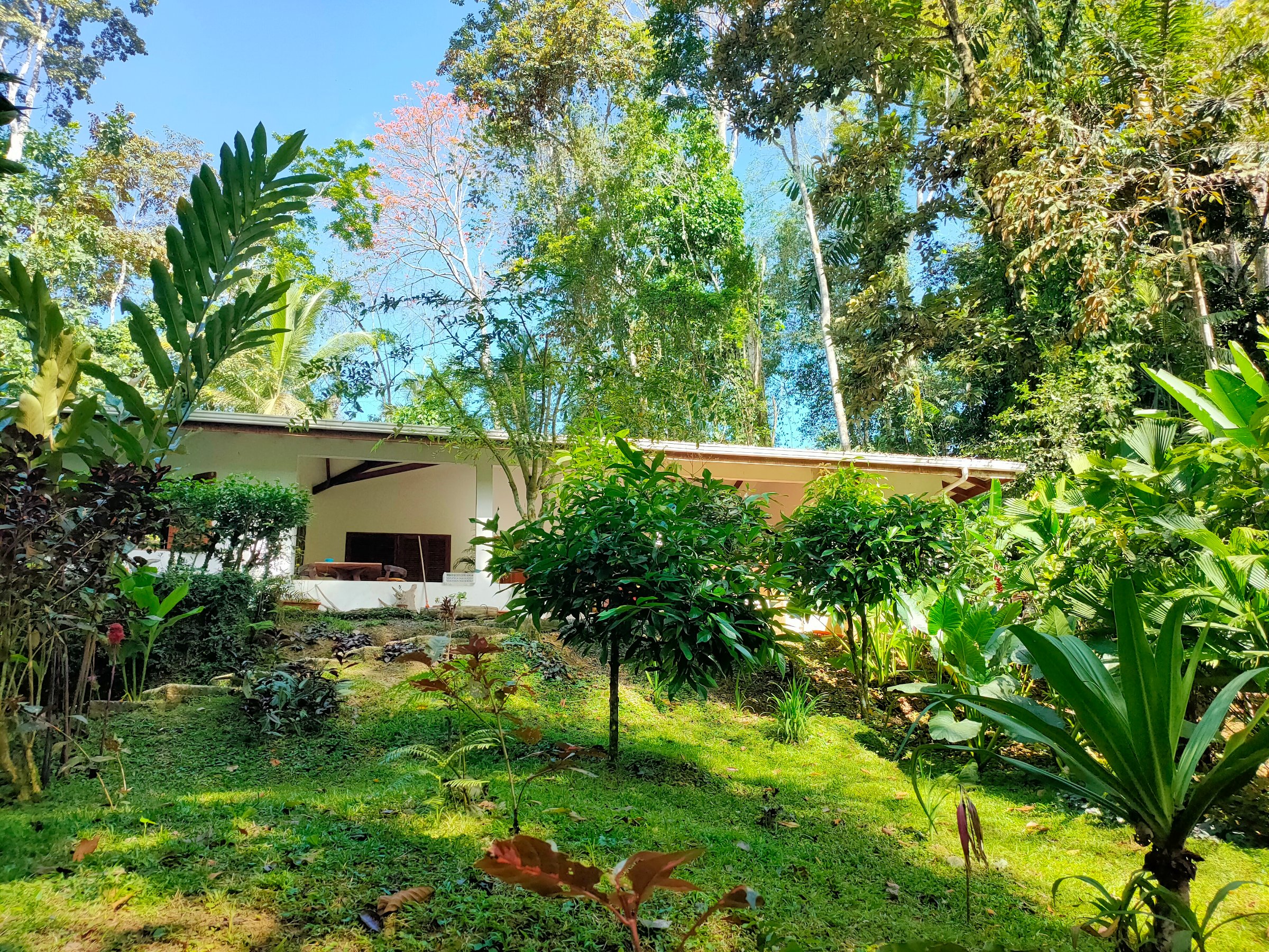 FINCA ARDILLA
