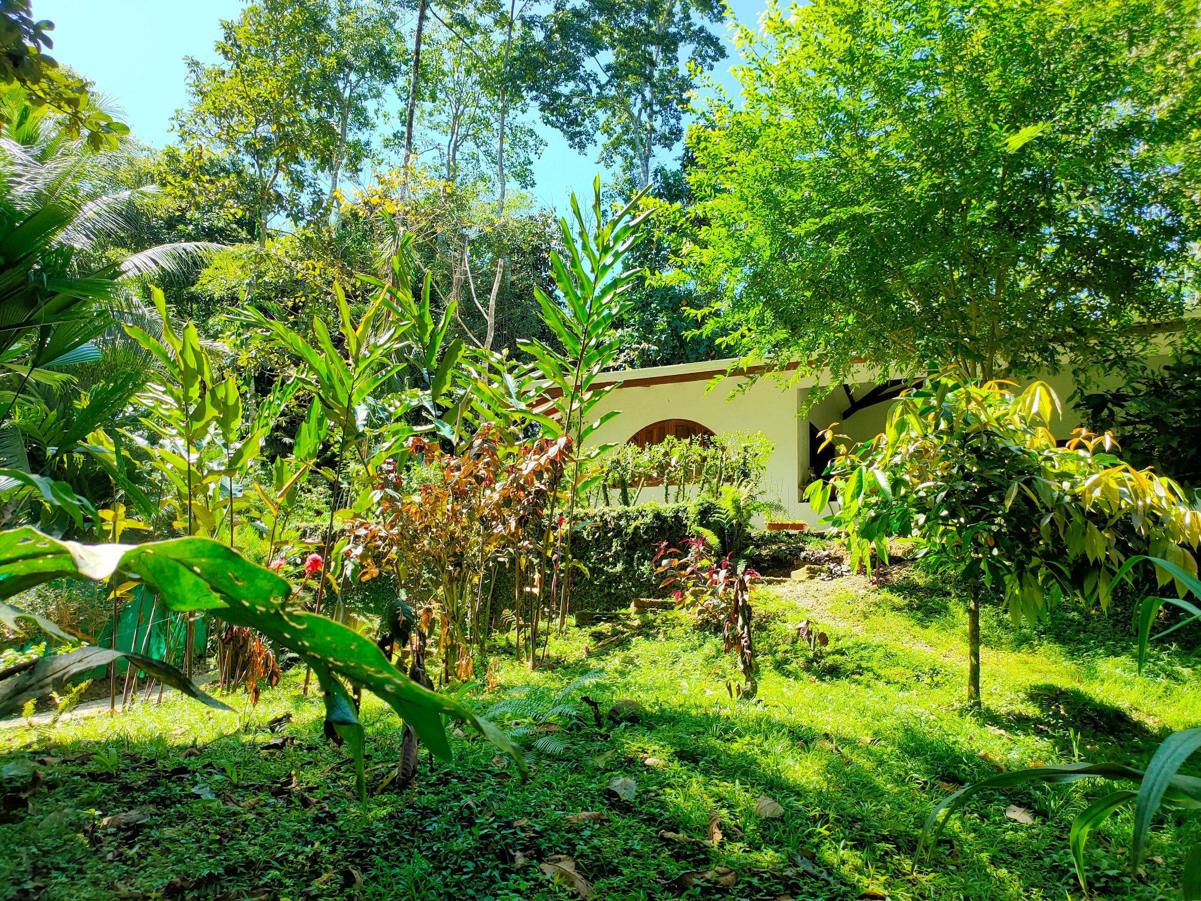FINCA ARDILLA