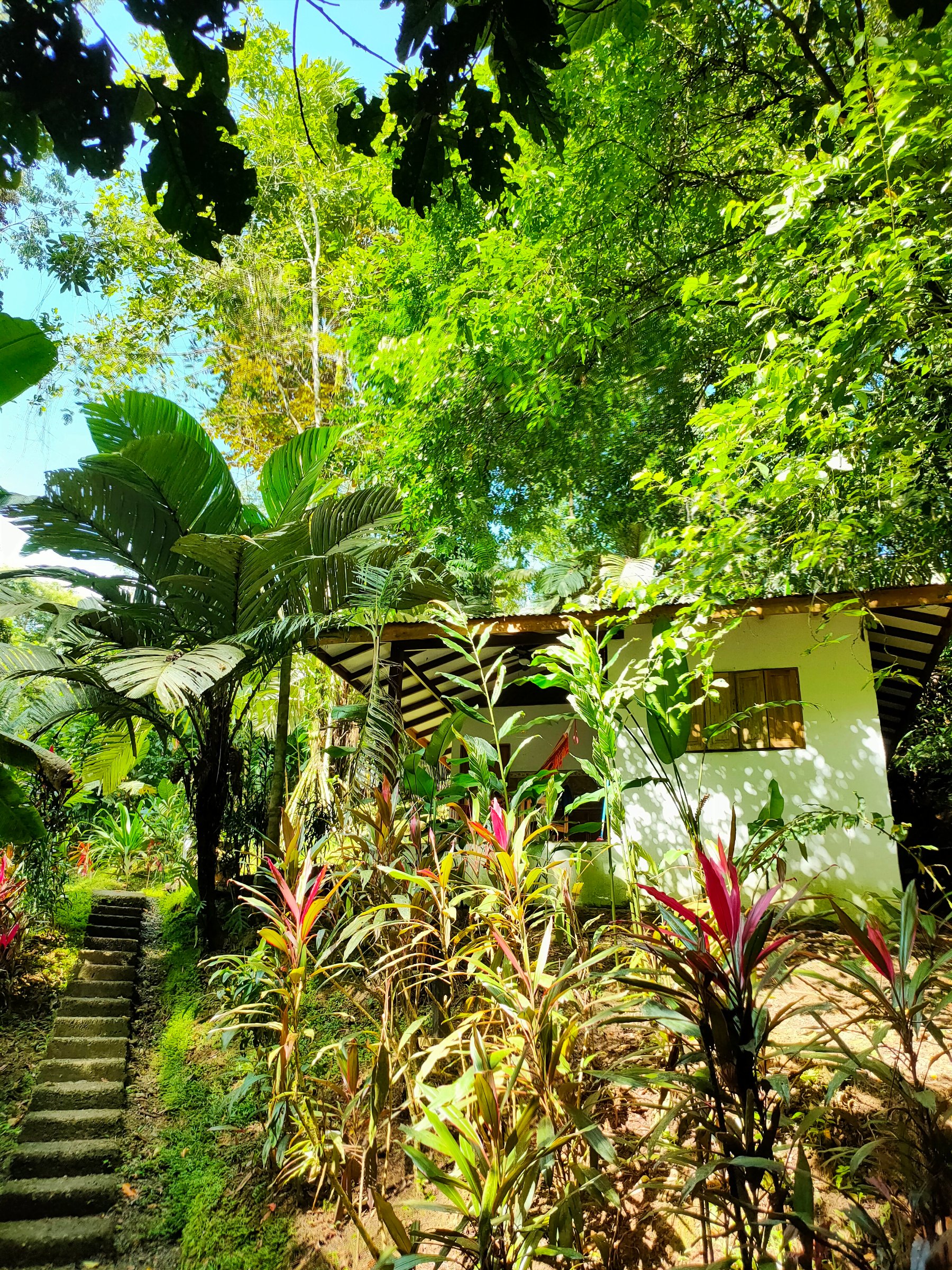 FINCA ARDILLA