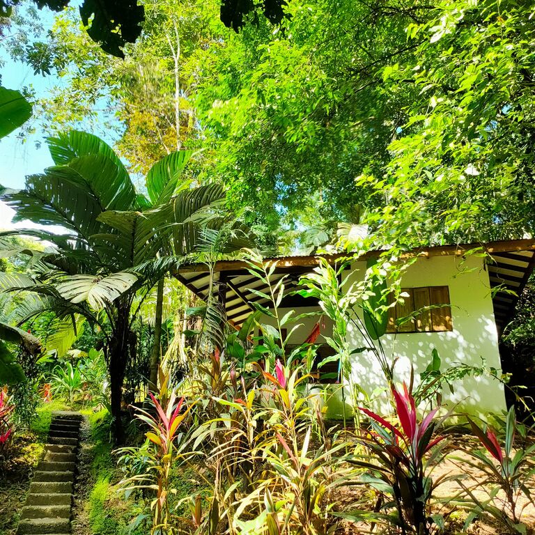 FINCA ARDILLA