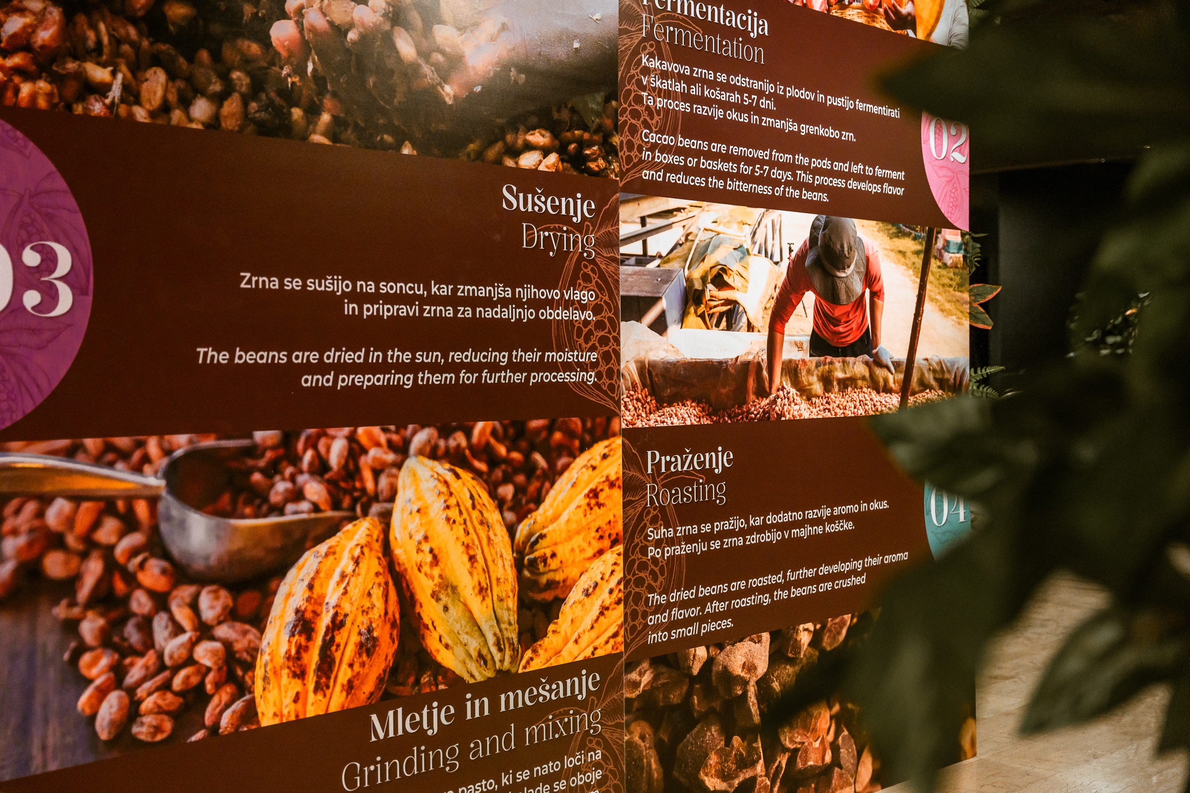 Chocolate museum Chocolarium