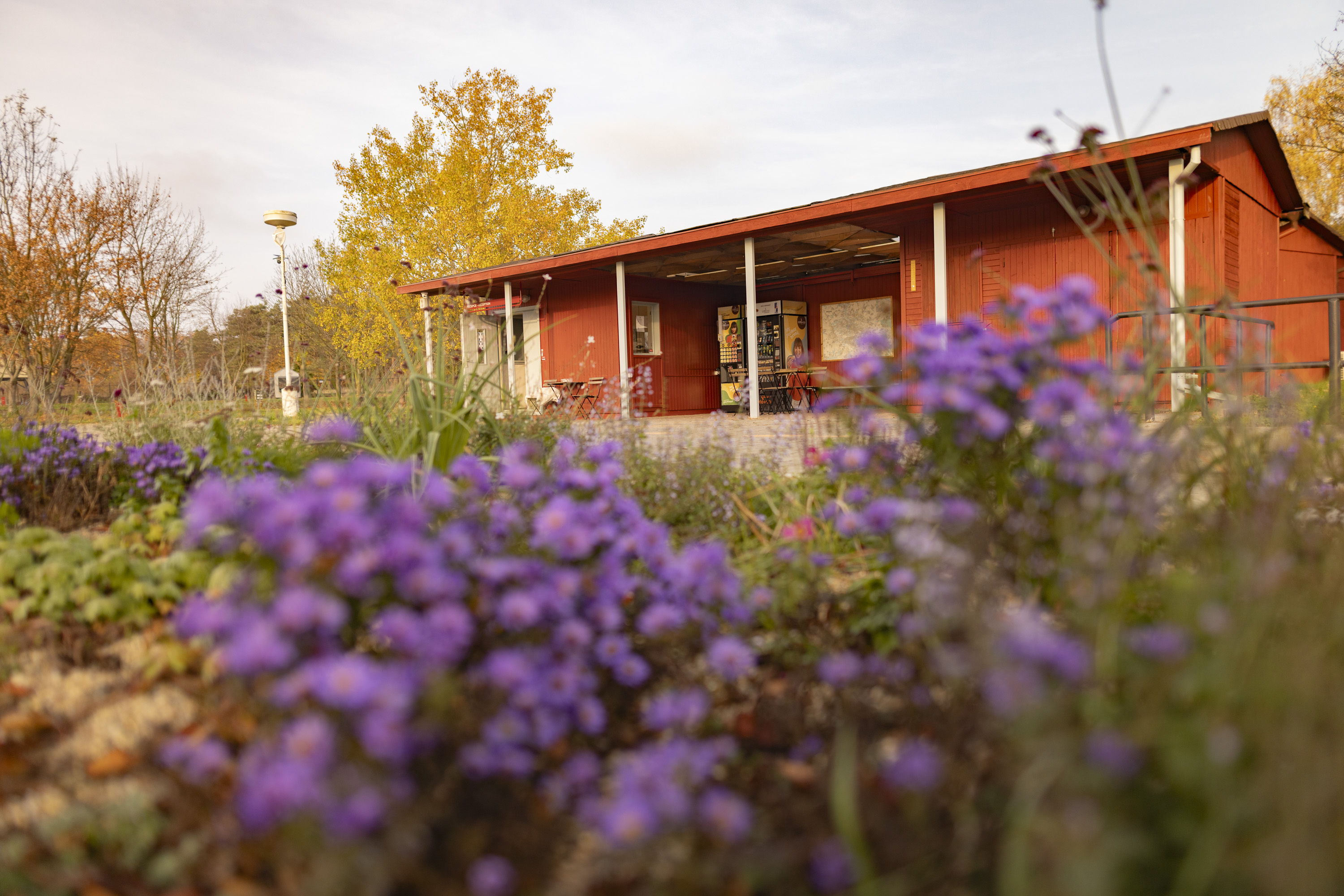 Prague Camping Dzban