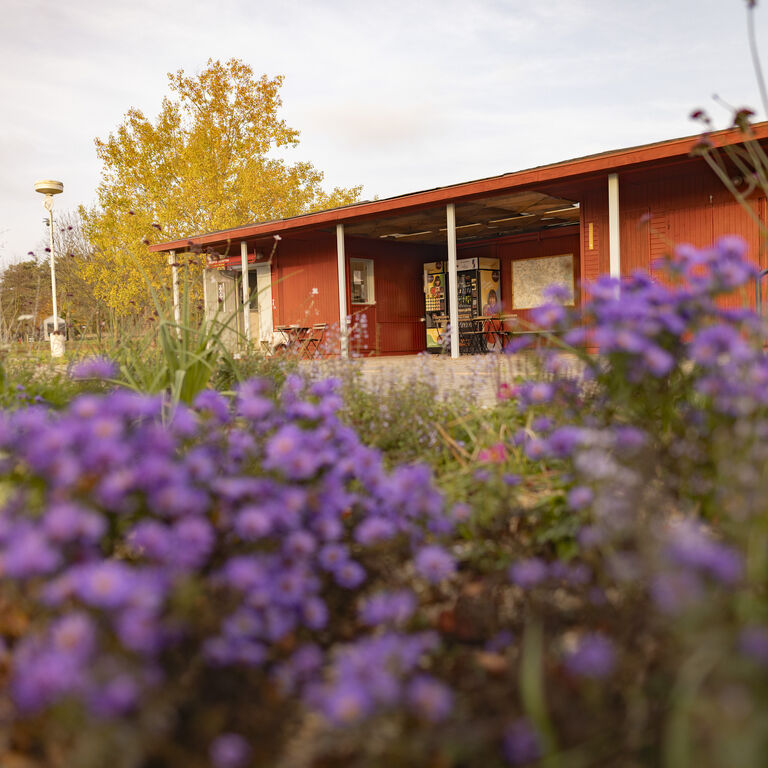 Prague Camping Dzban