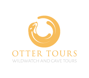 Otter Tours