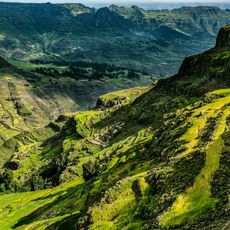 Drive Ethiopia