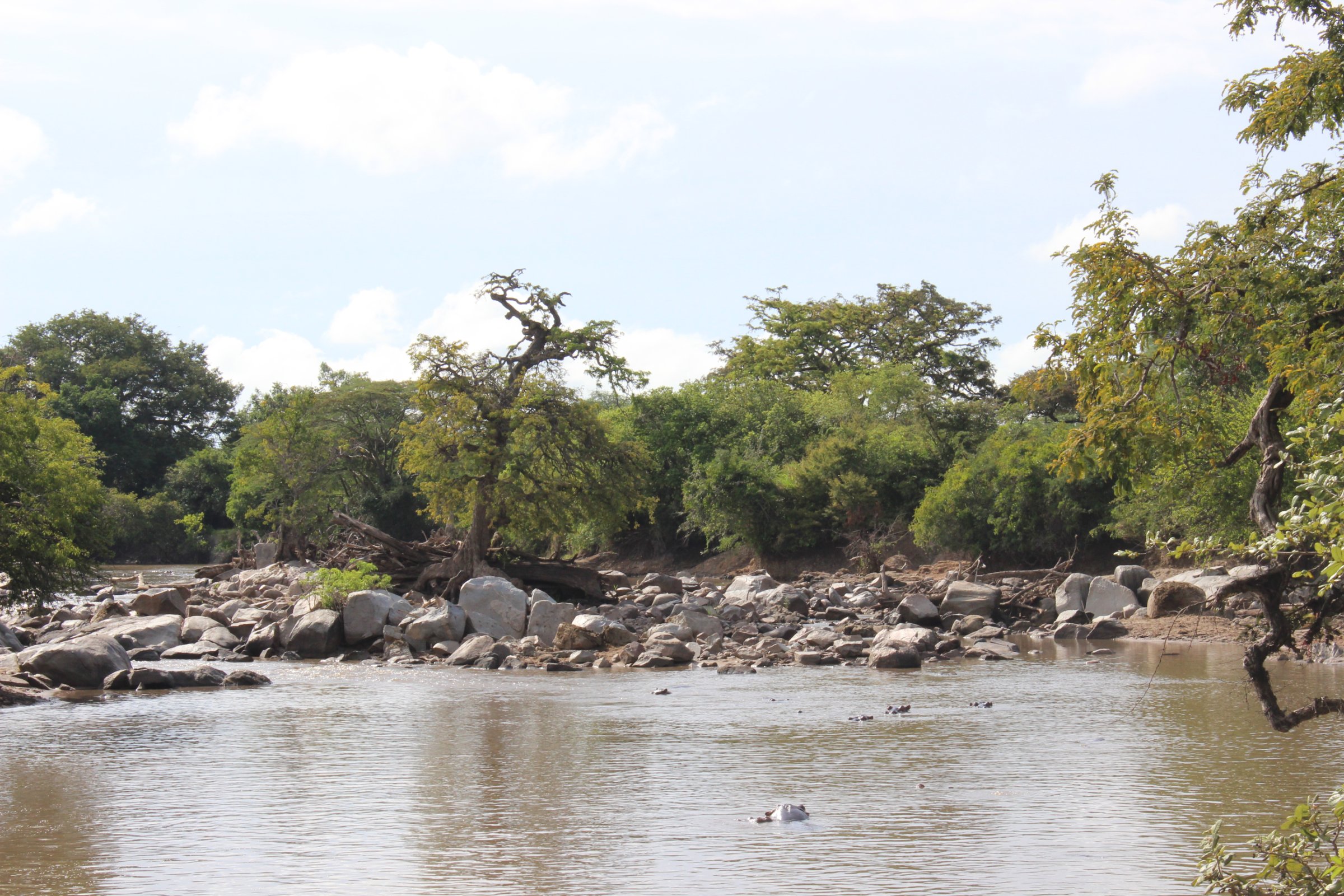 Rubaba Safaris & Tours