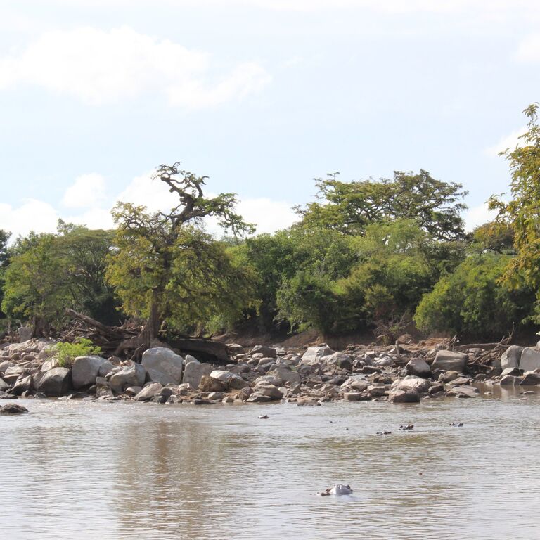 Rubaba Safaris & Tours