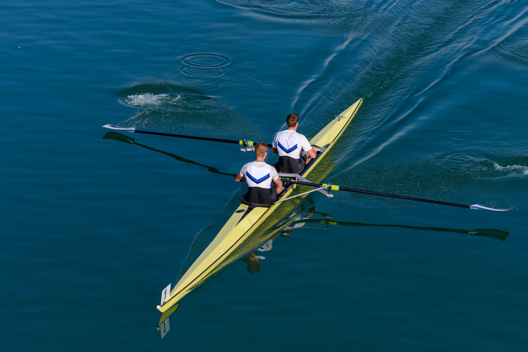 AVIRON GRENOBLOIS