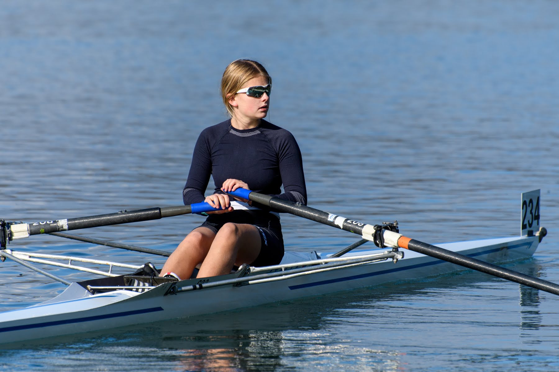 AVIRON GRENOBLOIS
