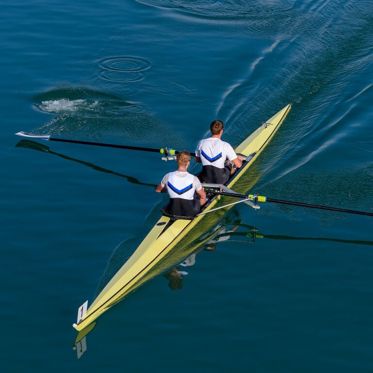 AVIRON GRENOBLOIS