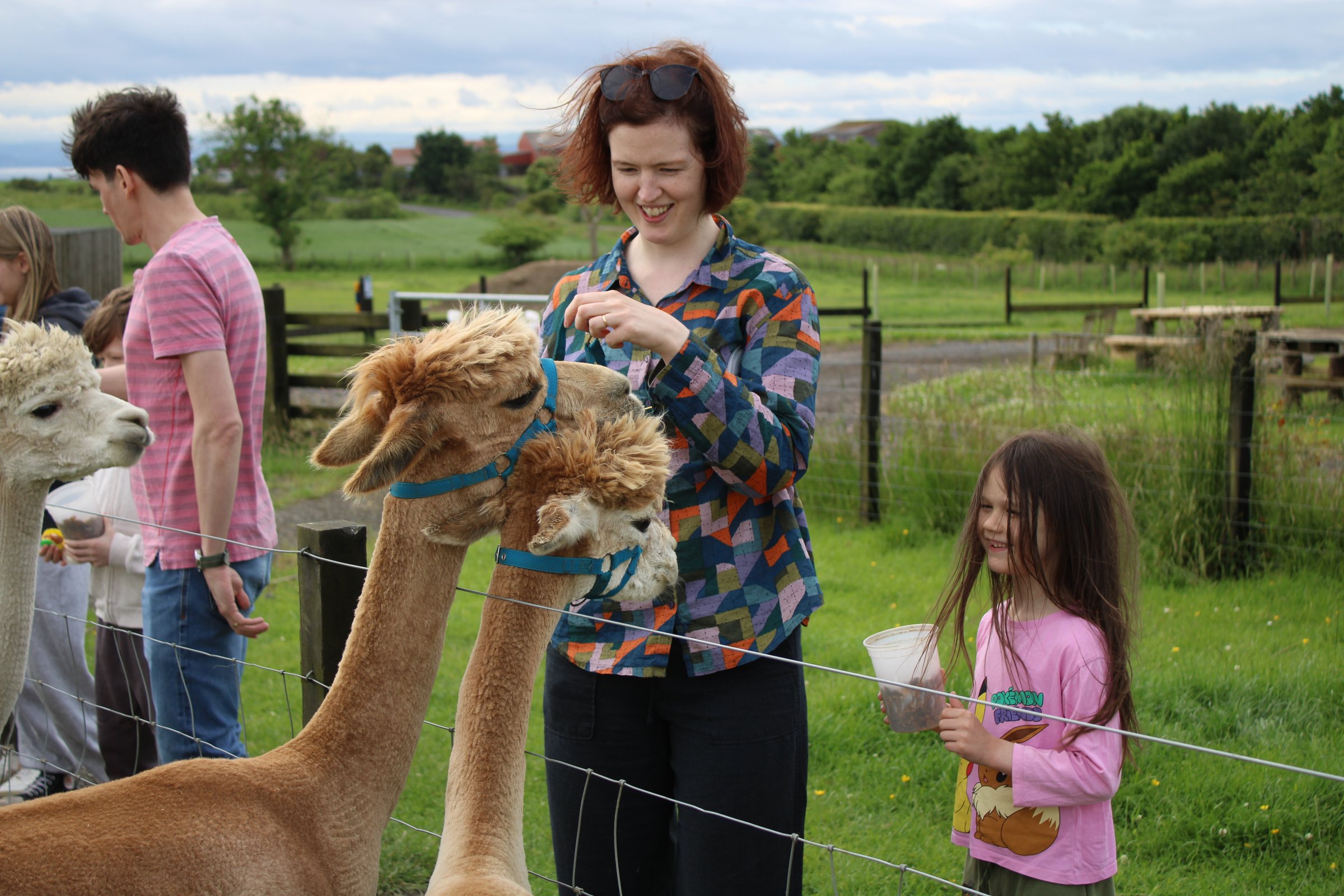 Bowbridge Alpacas Scotland