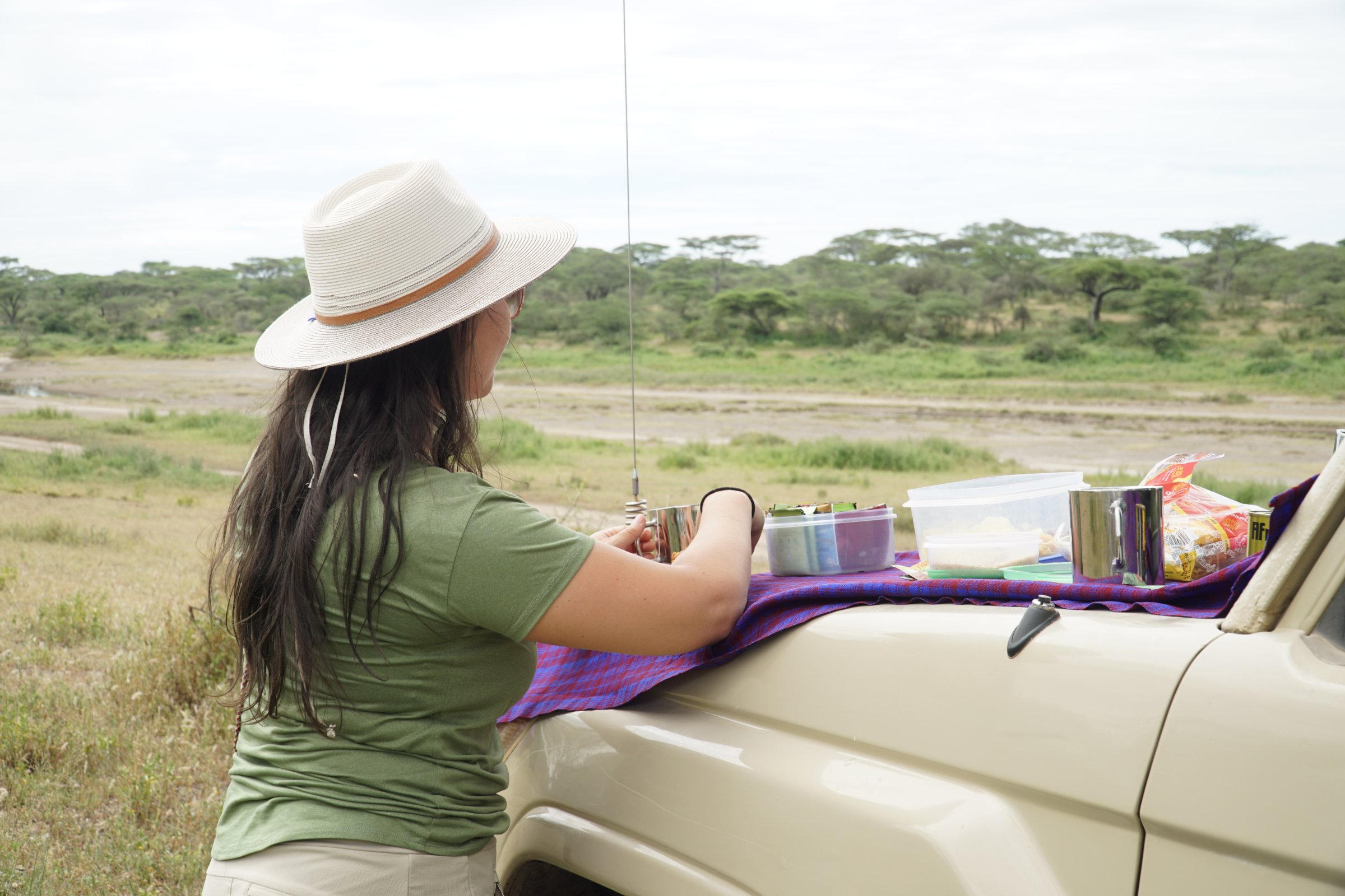 Safari By Leo