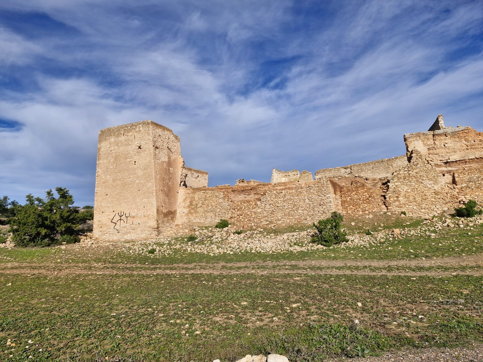 Oasis Neknafa Desert