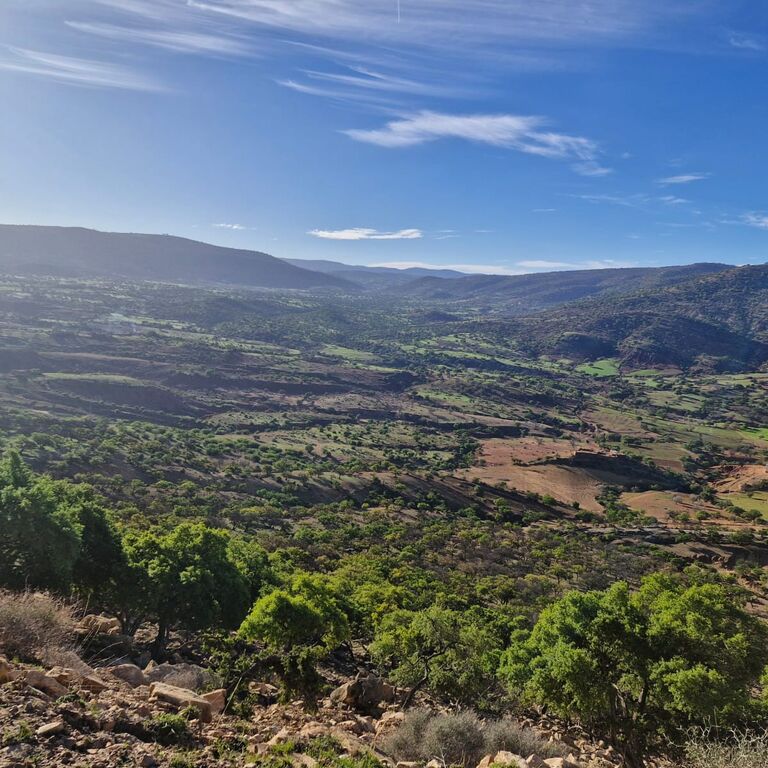Oasis Neknafa Desert