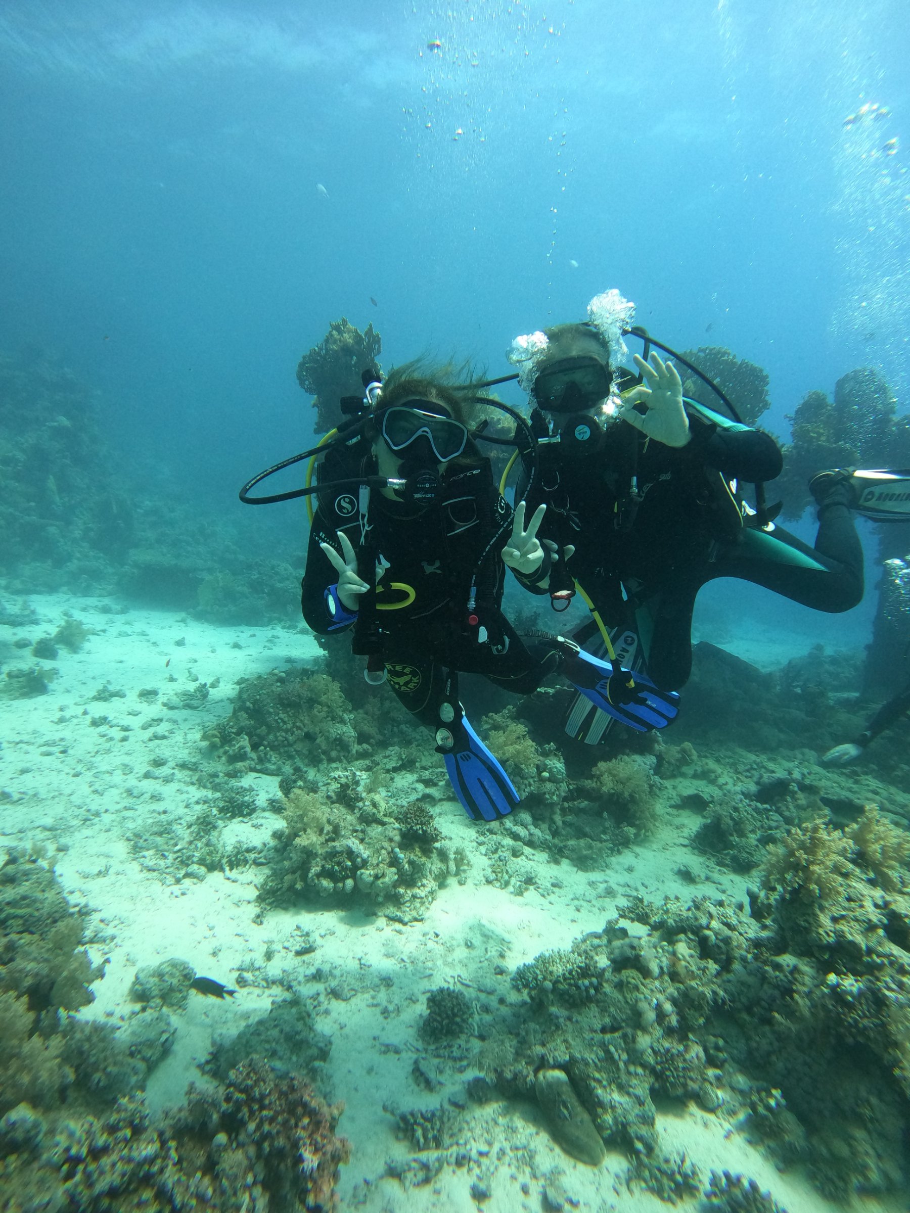 G.O.A.T Diving
