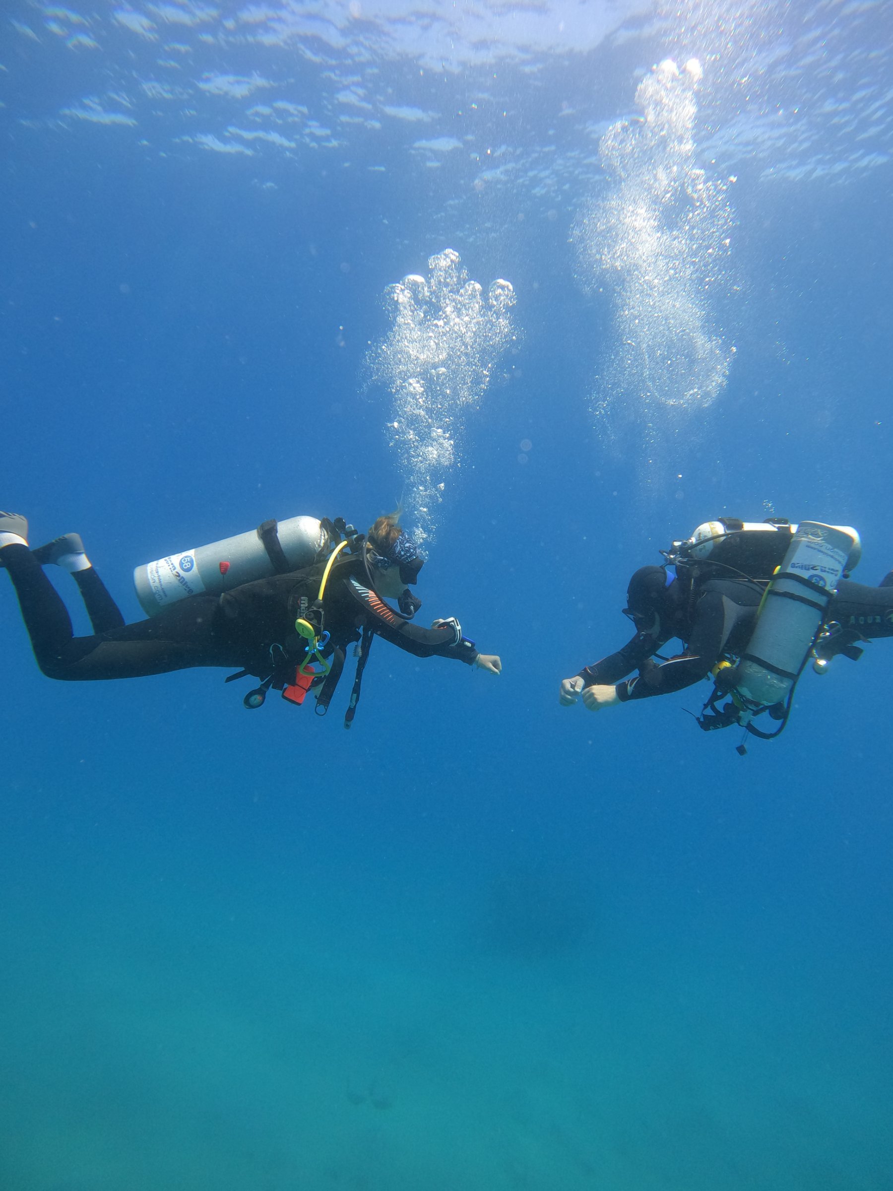G.O.A.T Diving