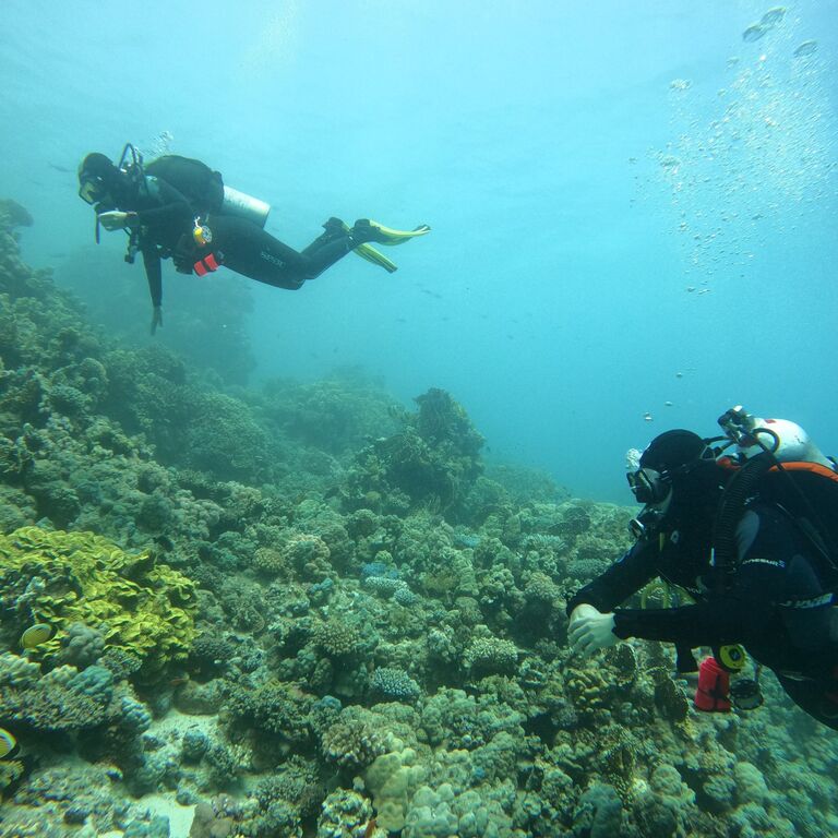 G.O.A.T Diving