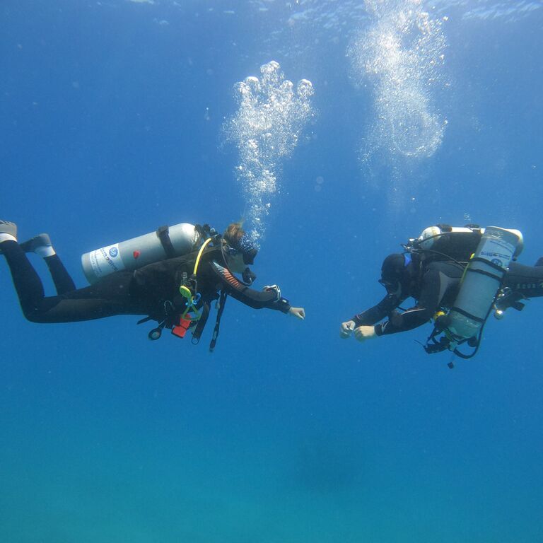 G.O.A.T Diving