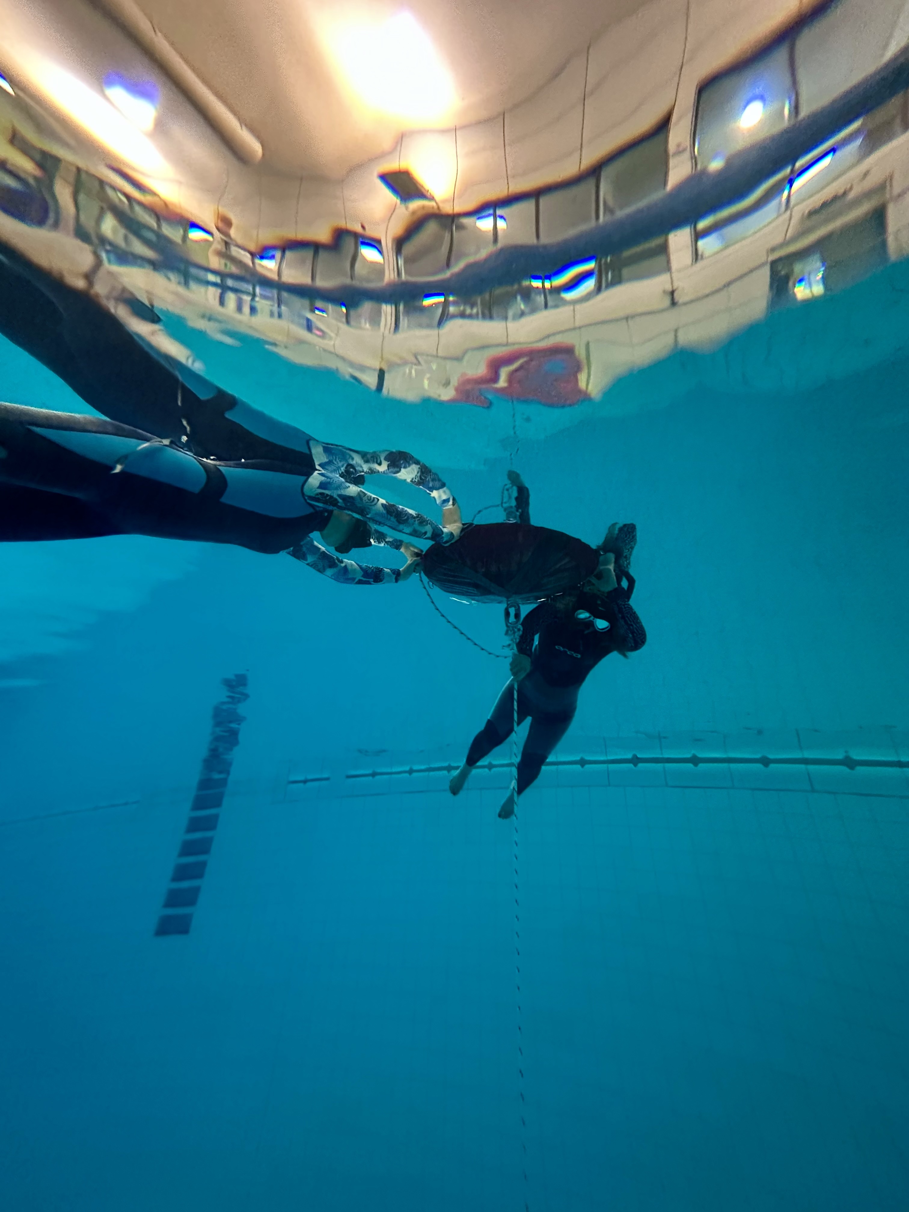 Freediving London
