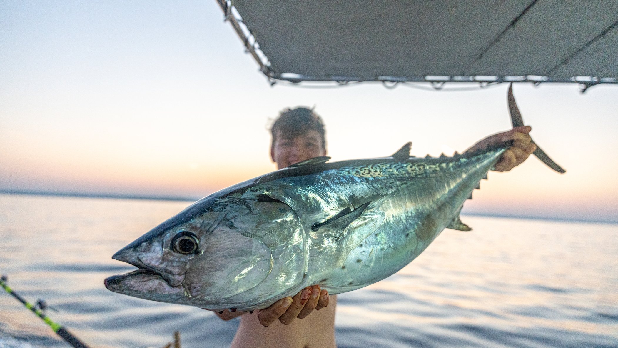 Croatia Tuna Fishing