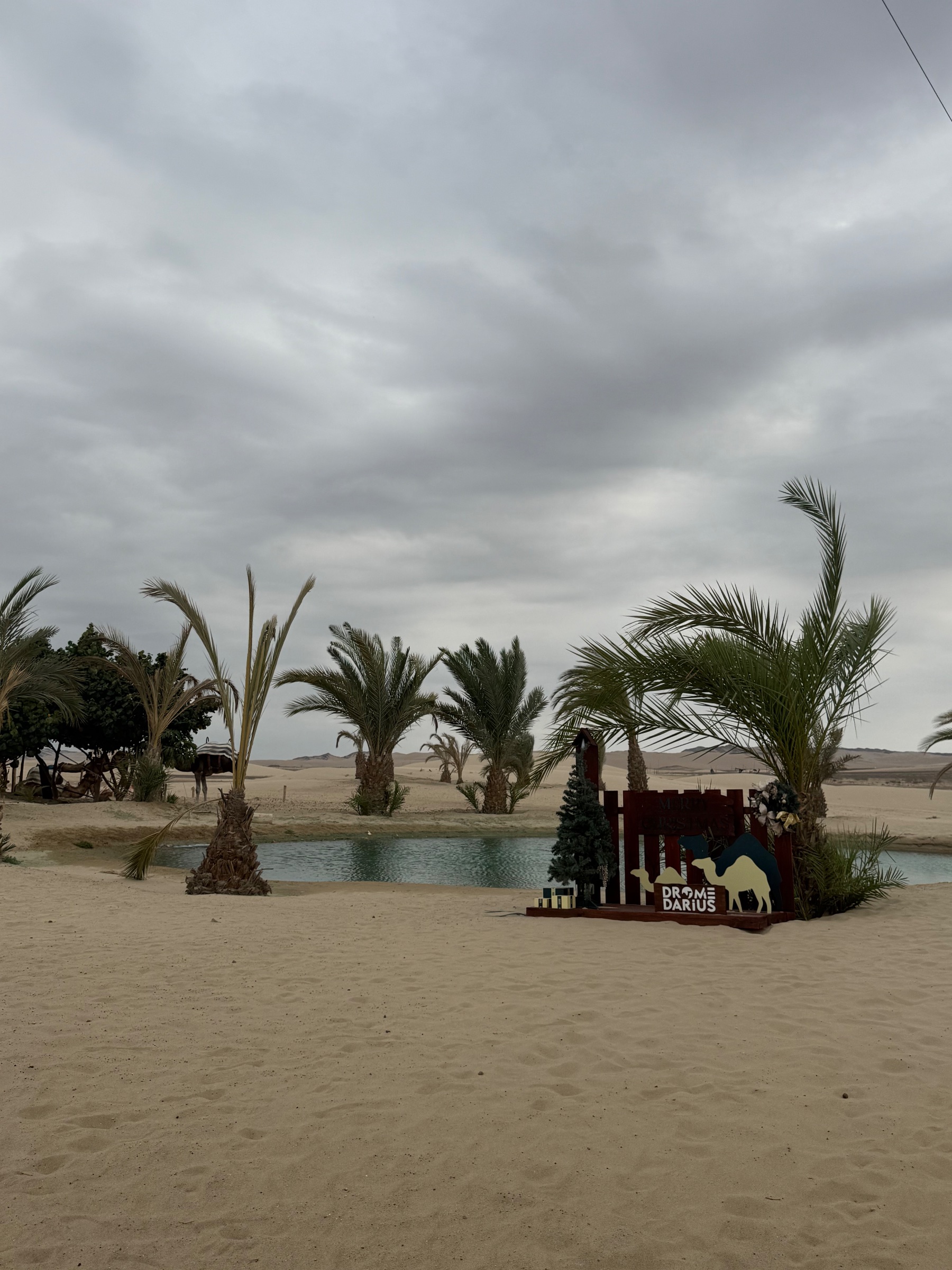 Hada Tours