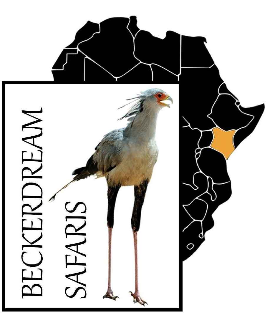 BECKERDREAM SAFARIS LIMITED