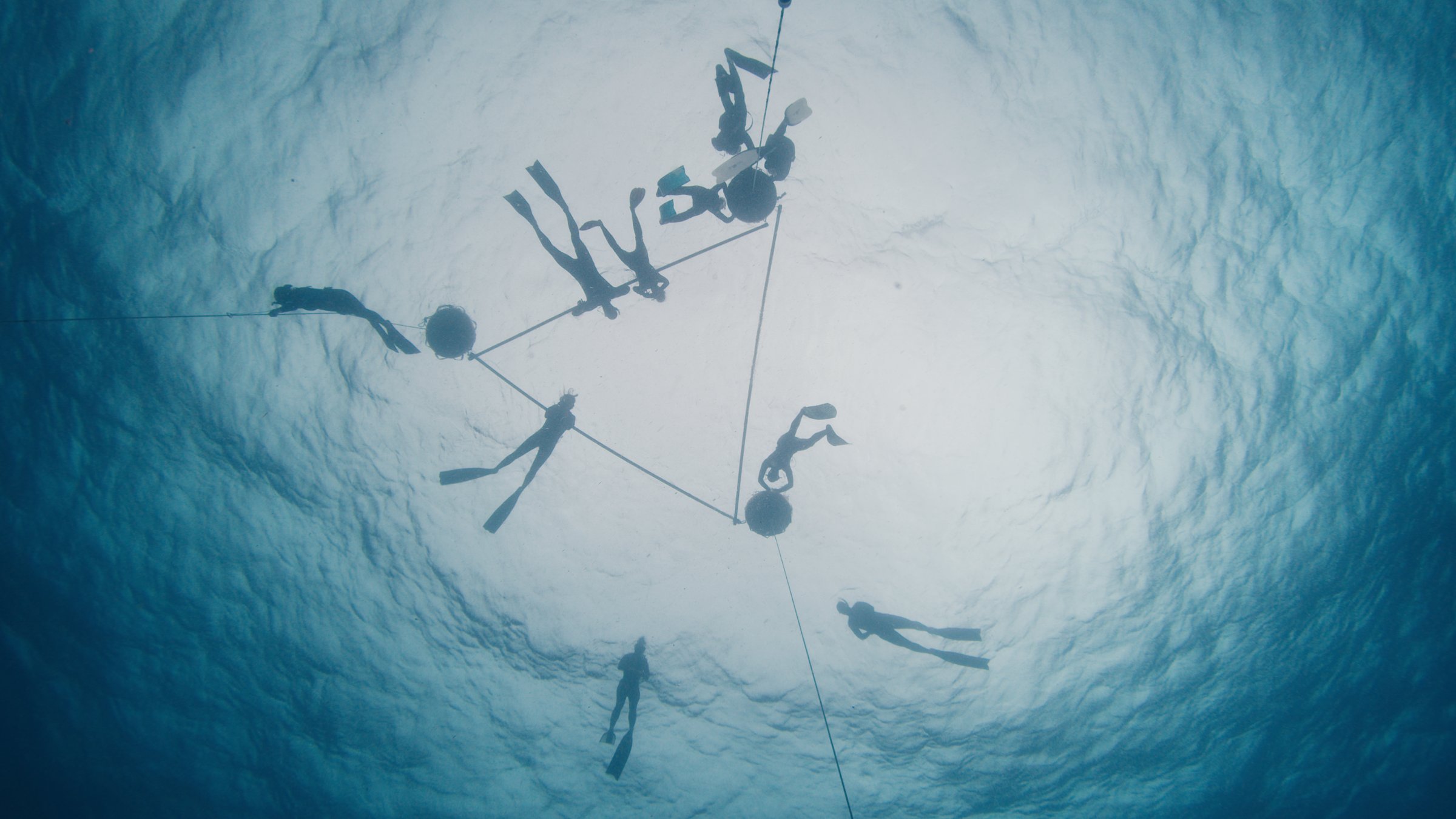 Freedive Nusa