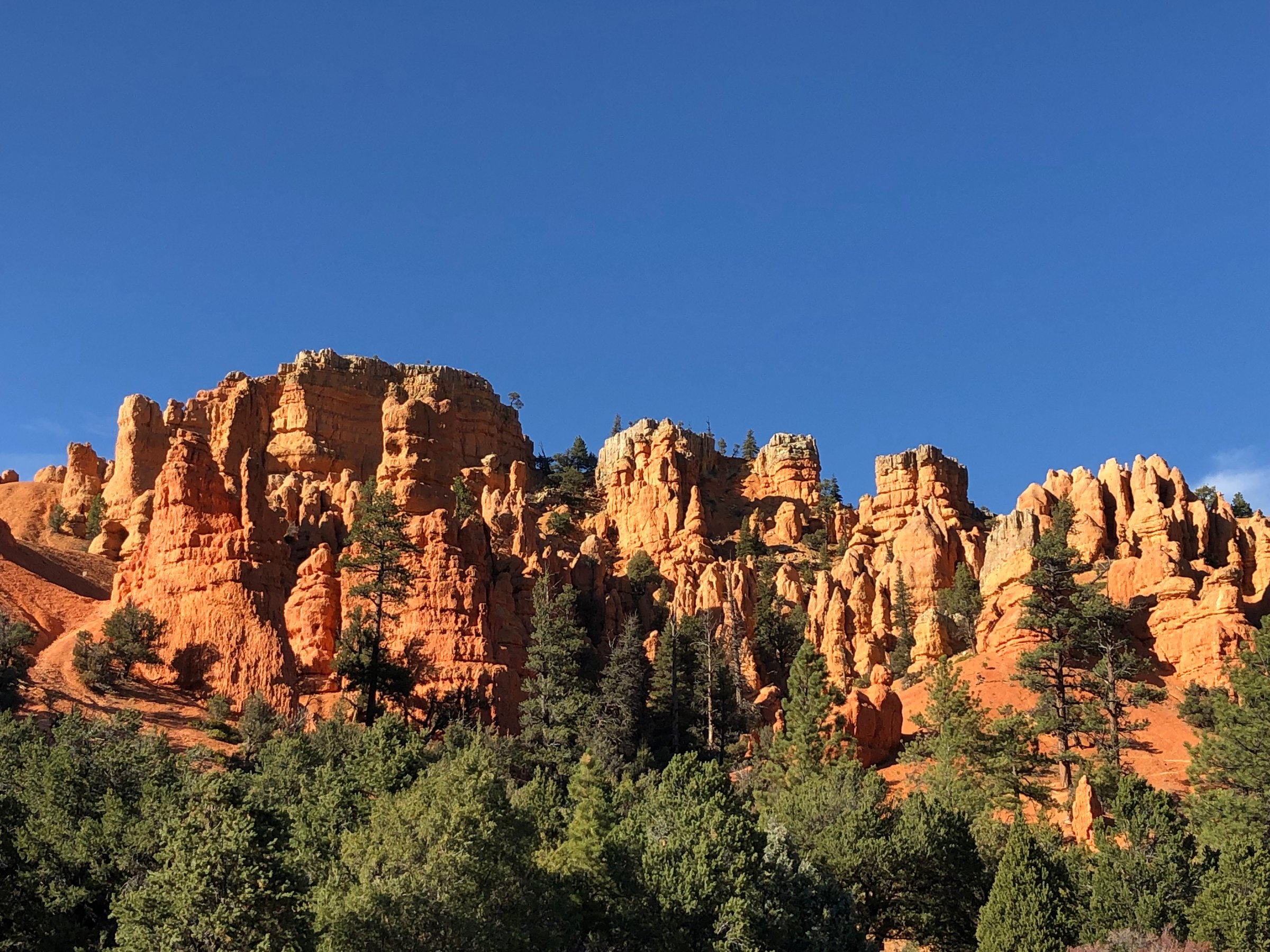 Bryce Wildlife Outfitters